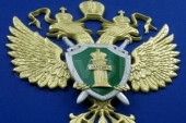 Авиакомпанию "СИБИА" в Кургане оштрафовали за нарушение ТК России