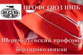 Шереметьевский профсоюз бортпроводников собирает команду *