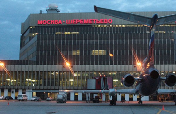 Администрация аэропорта &quot;Шереметьево&quot; загородила проход, через который лисы проникали на территорию ВПП