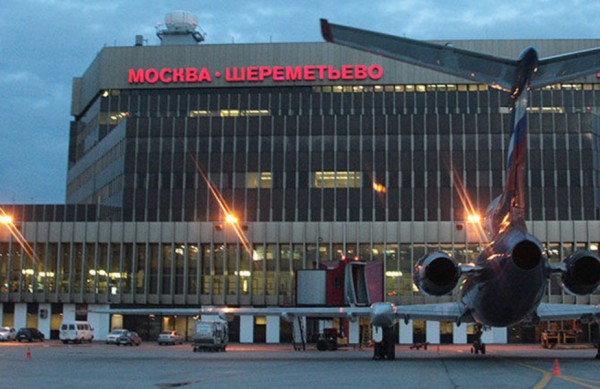 Администрация аэропорта "Шереметьево" загородила проход, через который лисы проникали на территорию ВПП