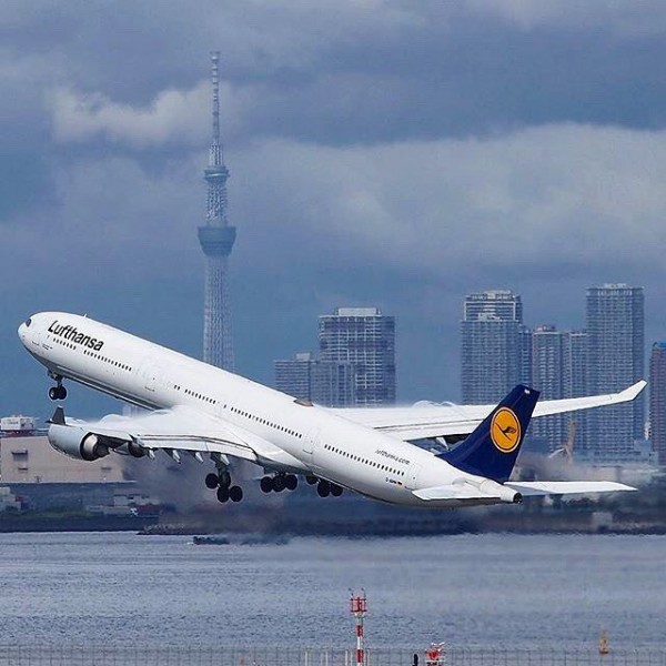 Почти 900 рейсов Lufthansa отменены из-за забастовки пилотов